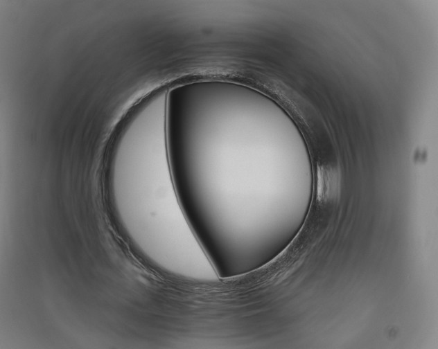 X0000091570723200708200950