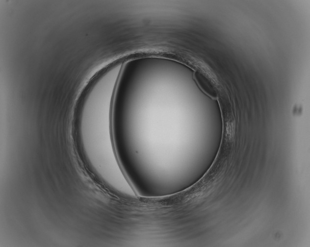 X0000091570724200708200950