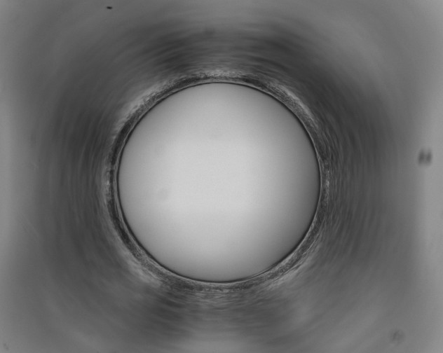 X0000091570725200708200950