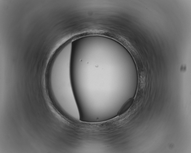 X0000091570726200708200950
