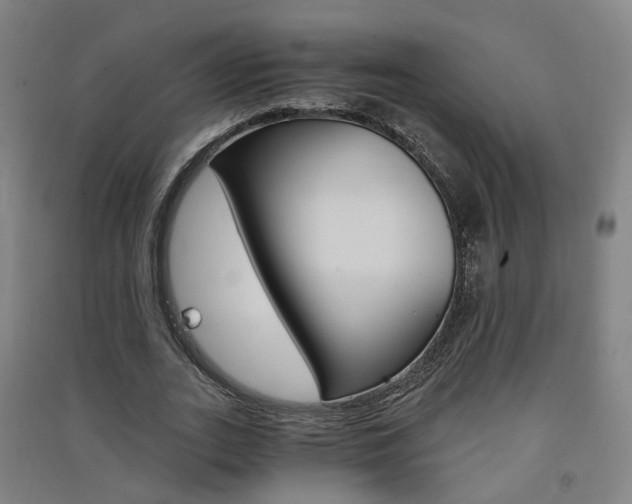X0000091570727200708200950