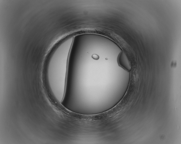 X0000091570728200708200950