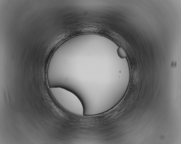 X0000091570729200708200950
