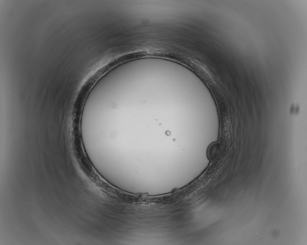 X0000091570730200708200950