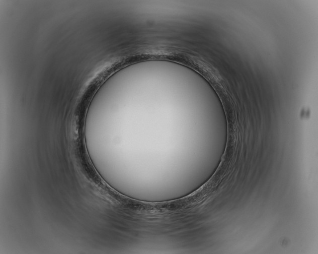 X0000091570731200708200950