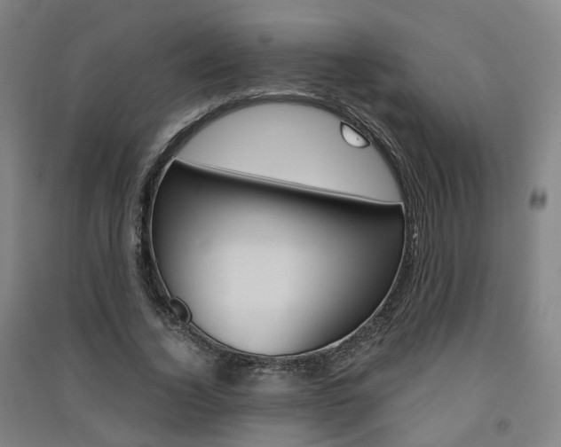 X0000091570732200708200950