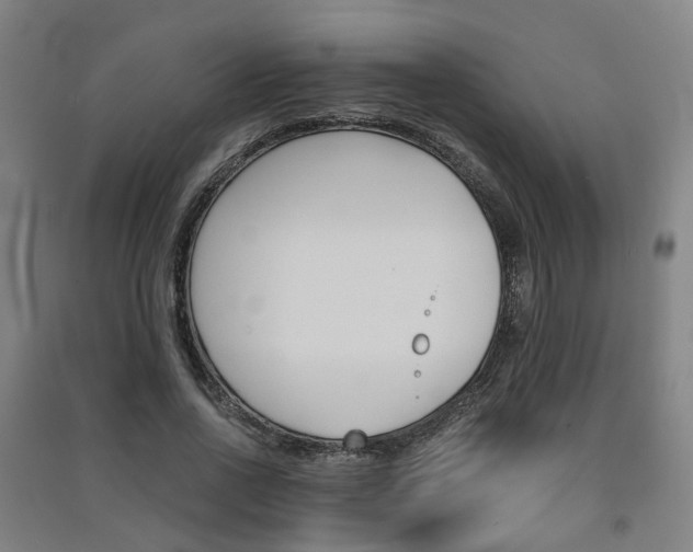 X0000091570734200708200950