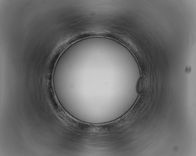 X0000091570736200708200950