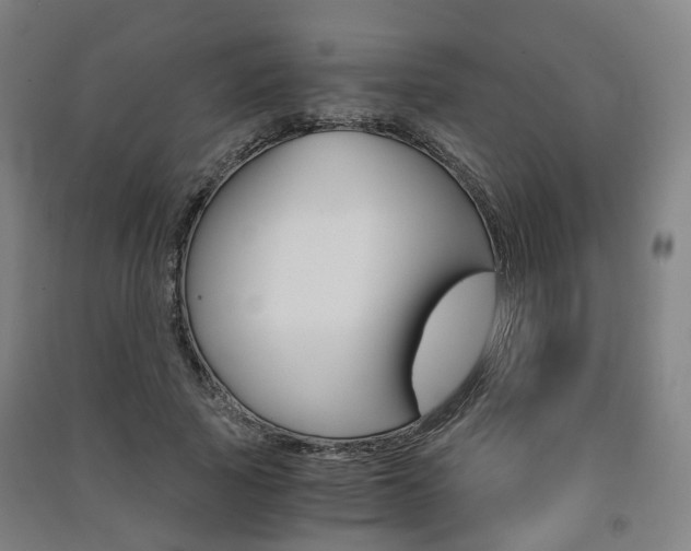 X0000091570737200708200950