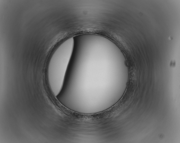 X0000091570738200708200950