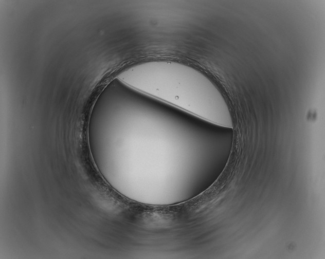 X0000091570739200708200950