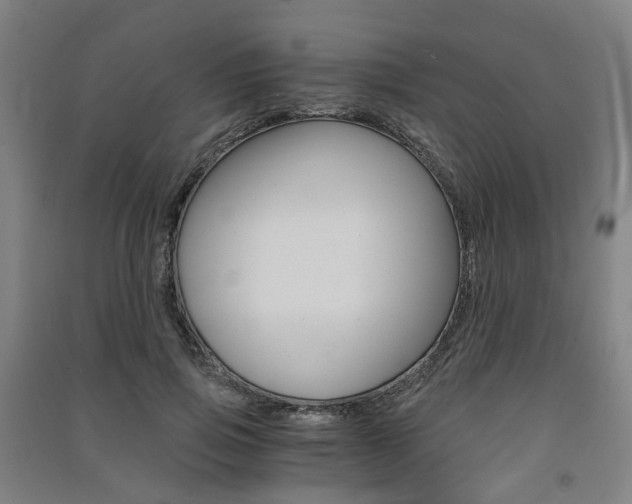 X0000091570741200708200950