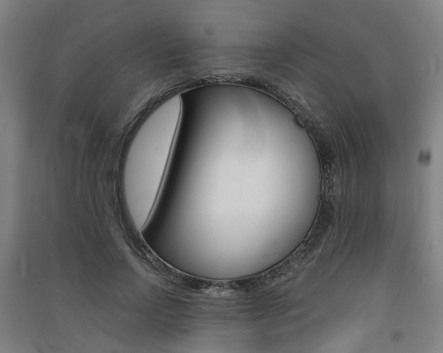 X0000091570742200708200950