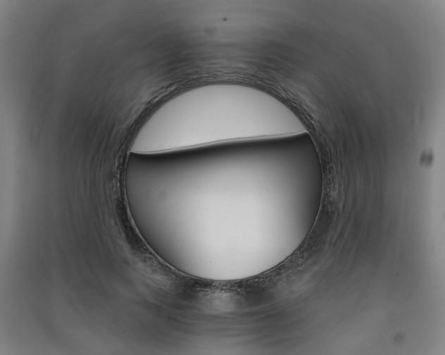 X0000091570743200708200950