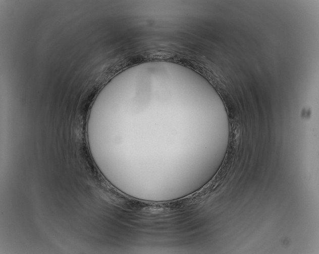 X0000091570745200708200950