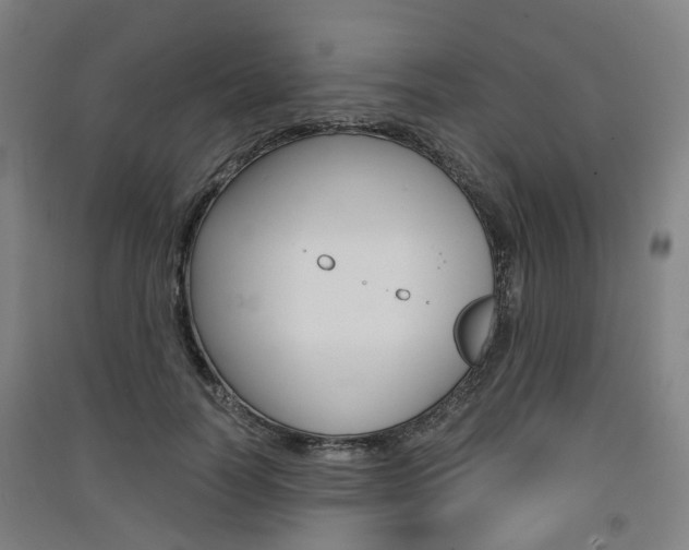 X0000091570746200708200950