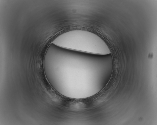 X0000091570747200708200951