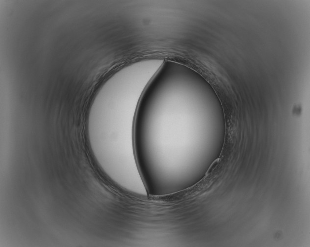 X0000091570748200708200951
