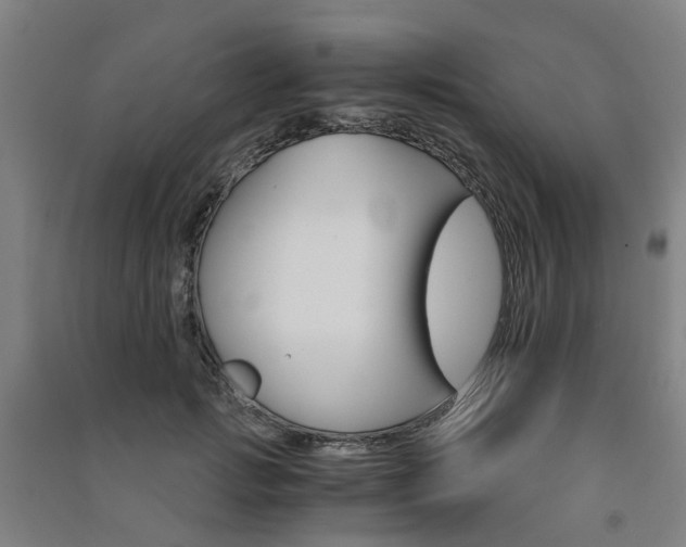 X0000091570749200708200951
