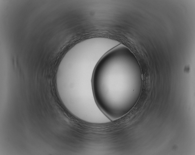 X0000091570750200708200951
