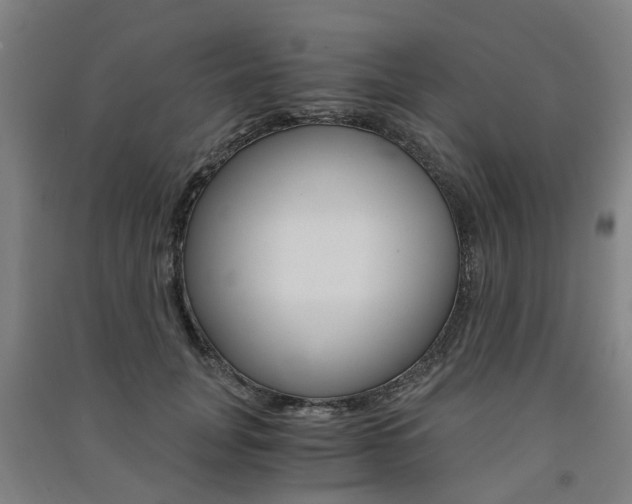 X0000091570751200708200951