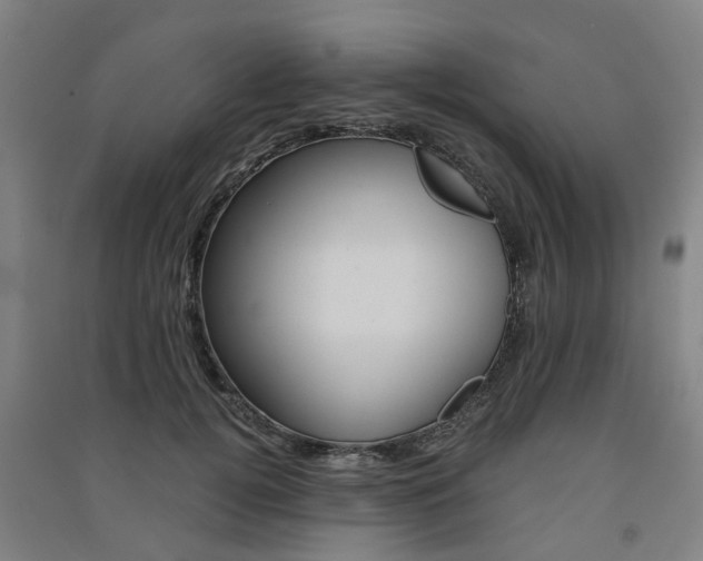 X0000091570752200708200951
