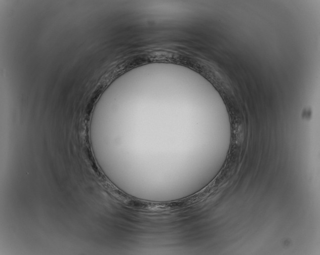 X0000091570753200708200951