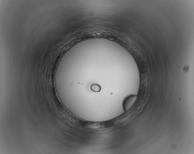 X0000091570754200708200951
