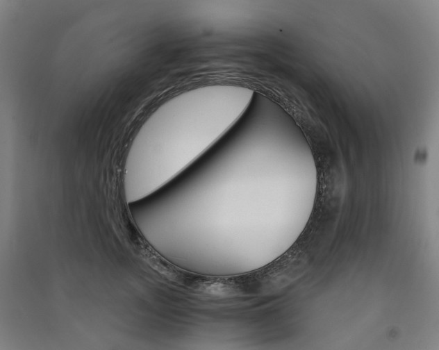 X0000091570755200708200951