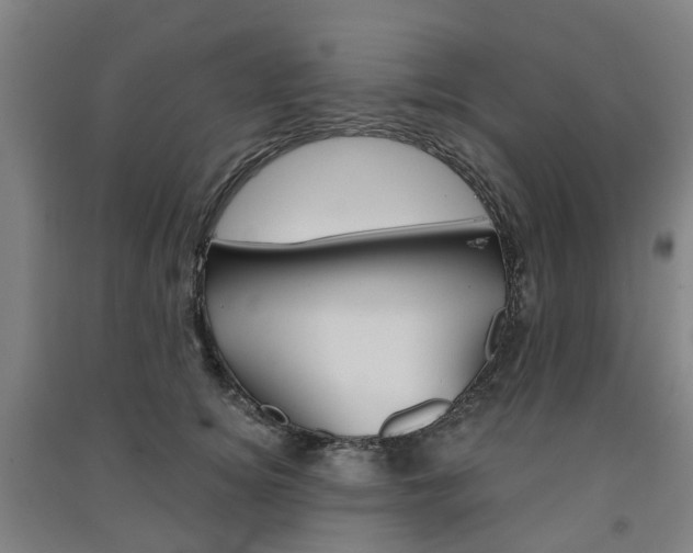 X0000091570756200708200951