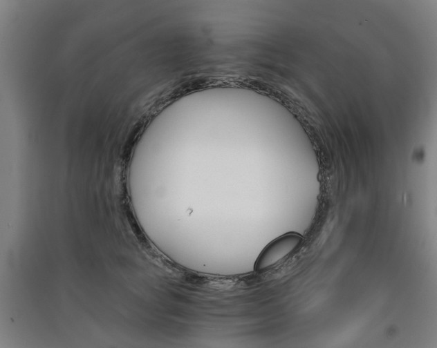 X0000091570757200708200951