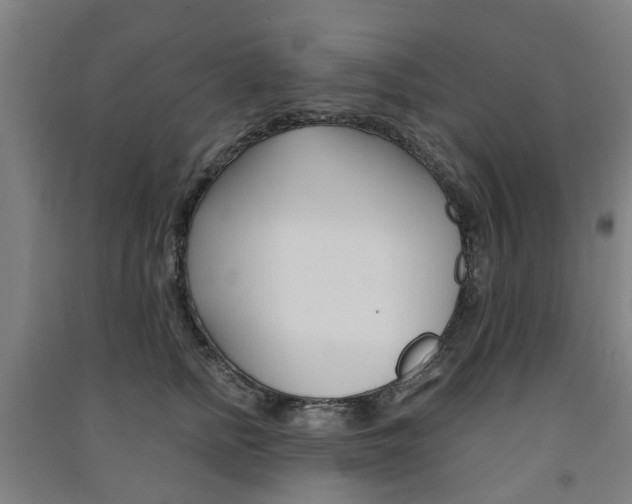 X0000091570758200708200951