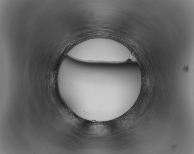 X0000091570759200708200951