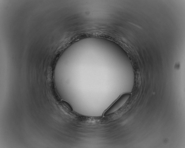 X0000091570760200708200951