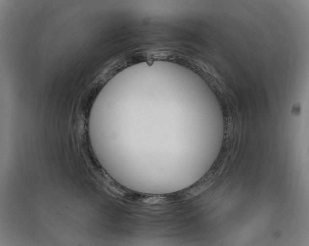X0000091570761200708200951