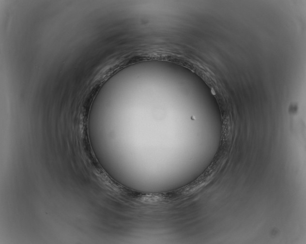 X0000091570762200708200951