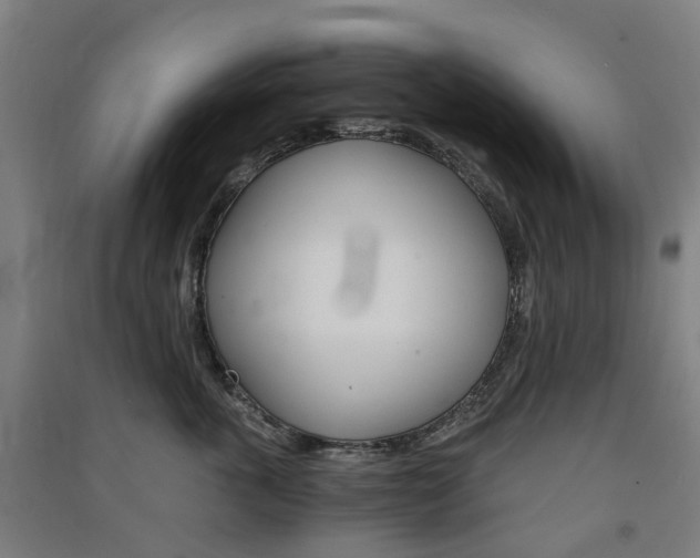 X0000091570763200708200951