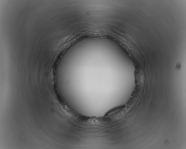 X0000091570764200708200951