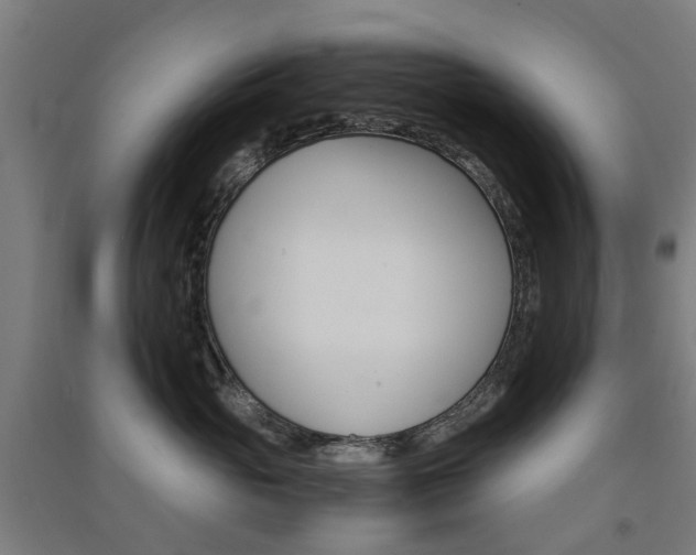 X0000091570765200708200951