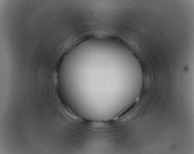 X0000091570766200708200951