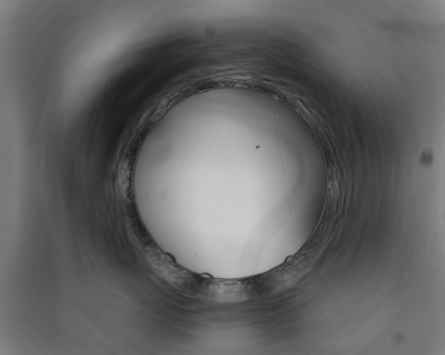 X0000091570767200708200951