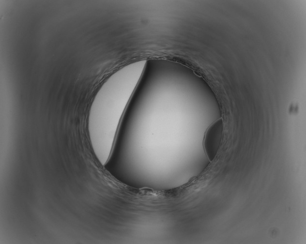 X0000091570768200708200951