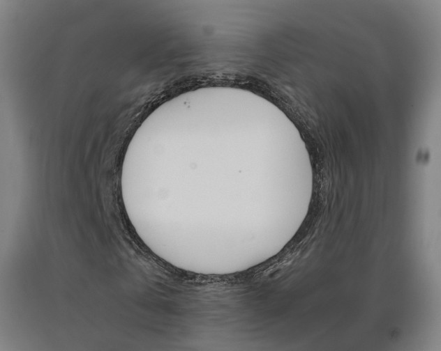 X0000091570769200708200950