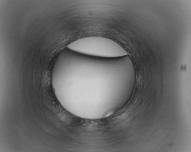 X0000091570772200708200950