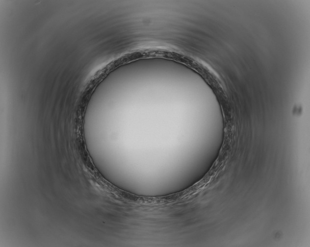 X0000091570775200708200950