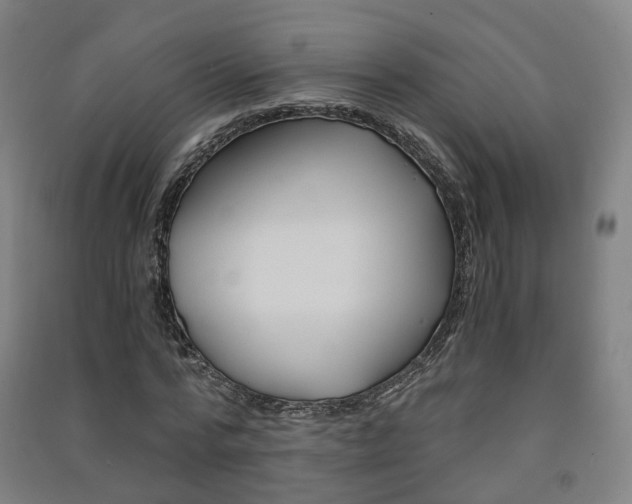 X0000091570776200708200950