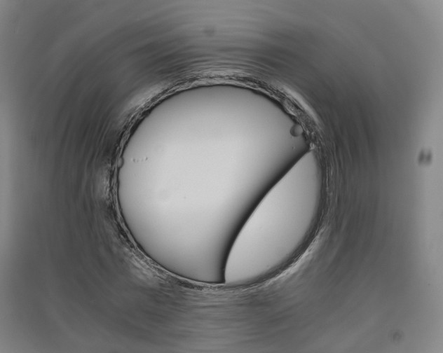 X0000091570777200708200950