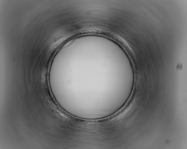 X0000091570778200708200950