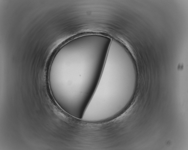 X0000091570779200708200950