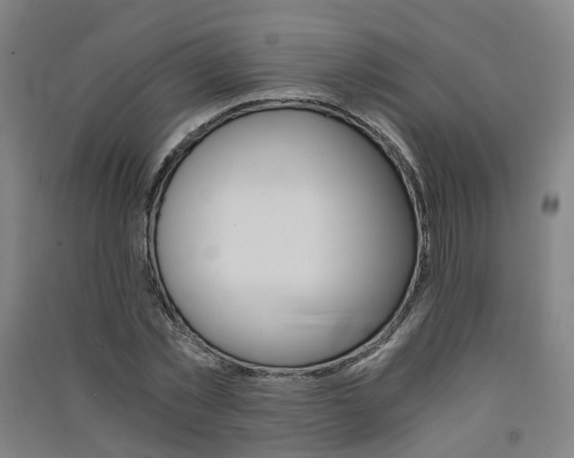 X0000091570781200708200950